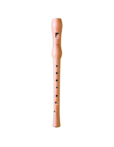 B9560 BARROCA