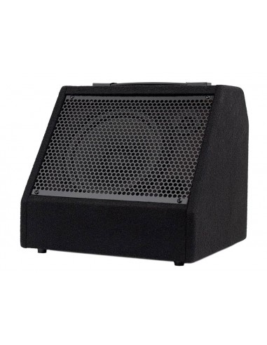 Monitor batería digital Hayman 30W bluetooth